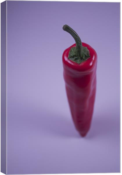 A Single Chilli Canvas Print by Adrian Wilkins