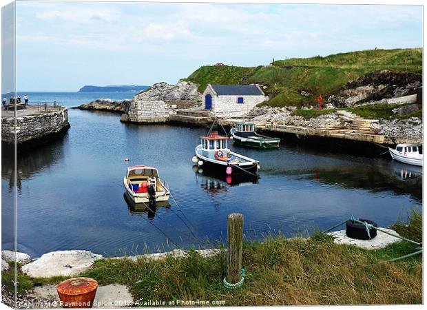 Ballintoy Harbour Canvas Print by Raymond Spiers