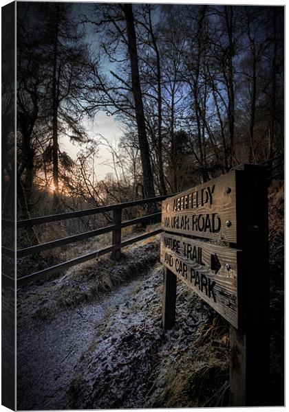 Signs of Winter Canvas Print by Fraser Hetherington