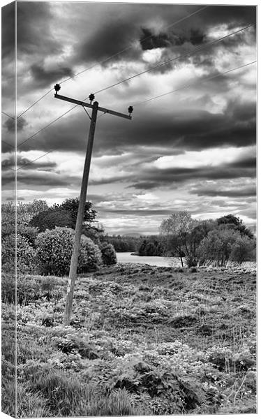 Leaning pole of Perth Inch Canvas Print by Fraser Hetherington