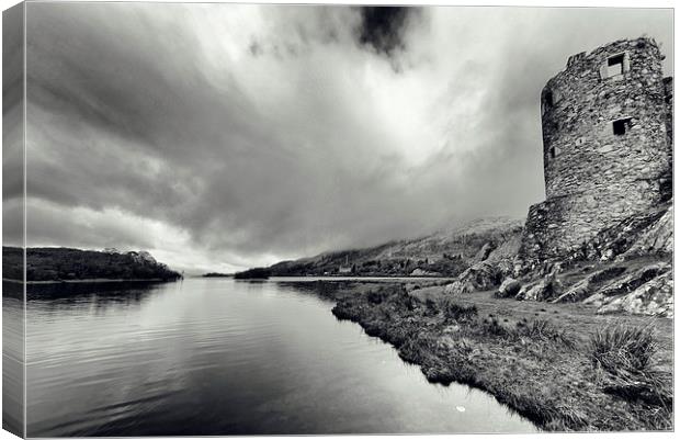 Looking up the Loch Canvas Print by Fraser Hetherington