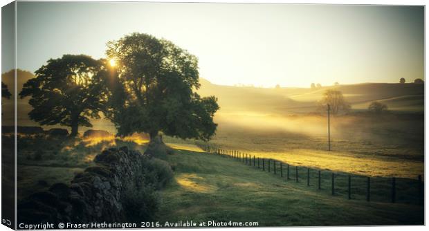 Misty Morning in Perthshire Canvas Print by Fraser Hetherington