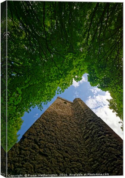 Sky full of Leaves Canvas Print by Fraser Hetherington