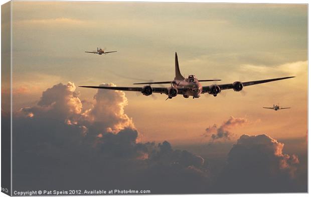 B17 - with little friends Canvas Print by Pat Speirs