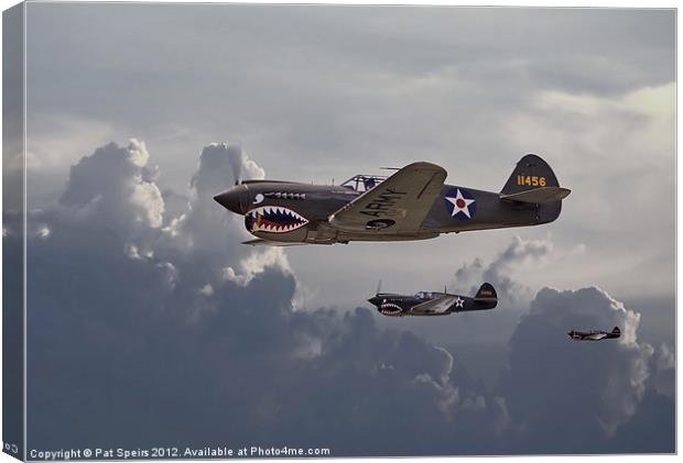 Flying Tigers Canvas Print by Pat Speirs