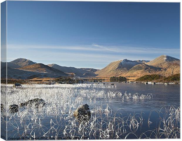 Winter in Rannoch Moor Canvas Print by Pat Speirs