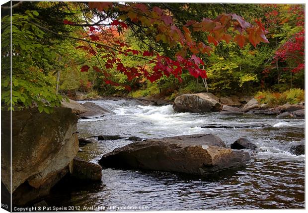 Ox Tongue River in the Fall Canvas Print by Pat Speirs