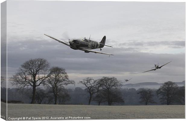 Spitfires - 'Rhubarb' Canvas Print by Pat Speirs