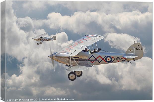 Hawker Demon Canvas Print by Pat Speirs