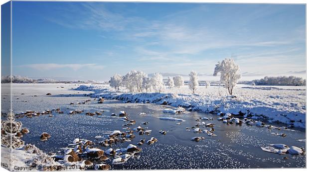 Winter Magic - Rannoch Moor, Scotland Canvas Print by Pat Speirs