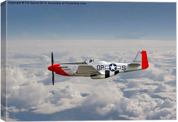 P51 Mustang - Gallery No. 4 Canvas Print by Pat Speirs