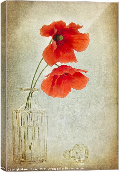Two Poppies in a Glass Vase Canvas Print by Ann Garrett