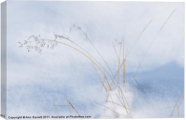 Grass in the Snow Canvas Print by Ann Garrett