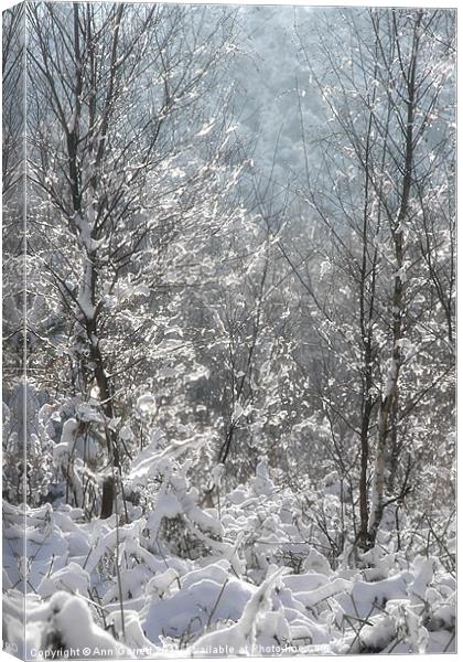 Winter Sparkles Canvas Print by Ann Garrett