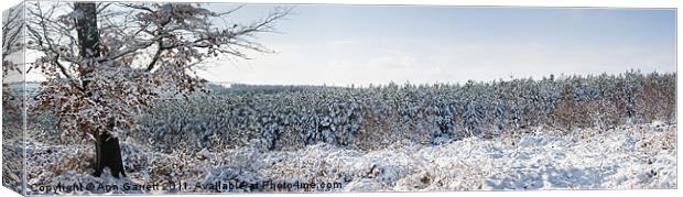 Winter Panorama Canvas Print by Ann Garrett