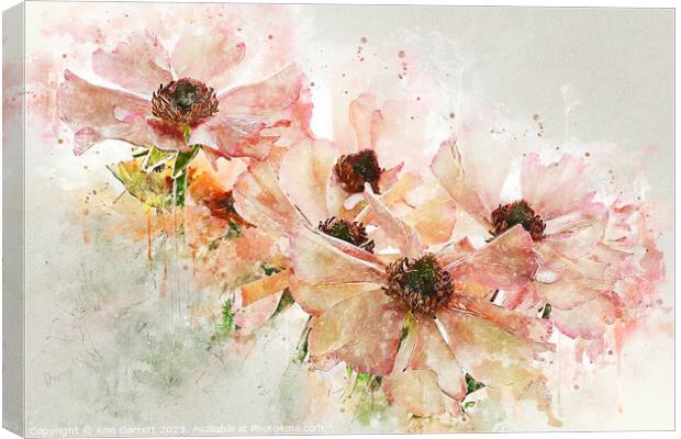 Ranunculus Art Canvas Print by Ann Garrett