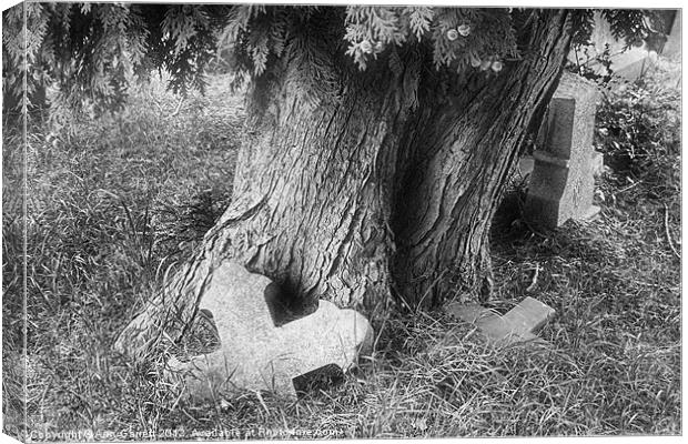 Tree in a Graveyard - Mono Canvas Print by Ann Garrett