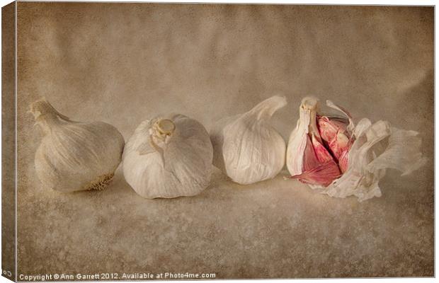 Garlic and Textures Canvas Print by Ann Garrett