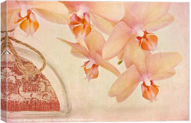 Orchid Falls Canvas Print by Ann Garrett