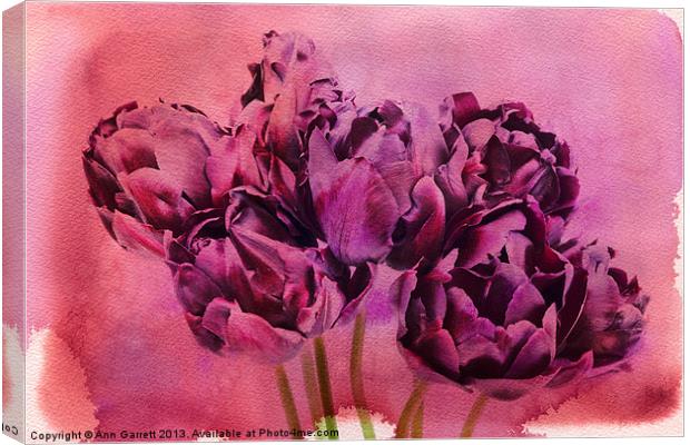 Watercolour Tulips Canvas Print by Ann Garrett