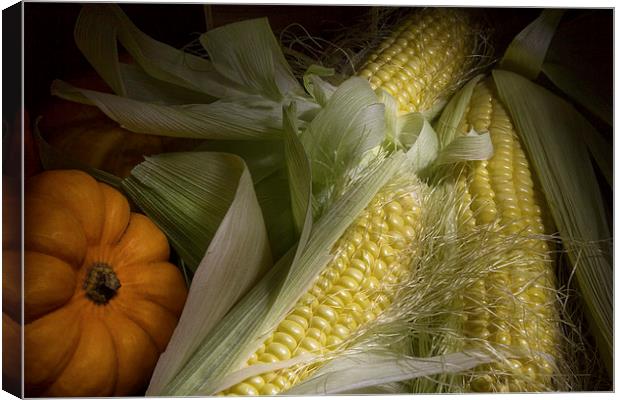 Sweetcorn and Pumpkin Canvas Print by Ann Garrett