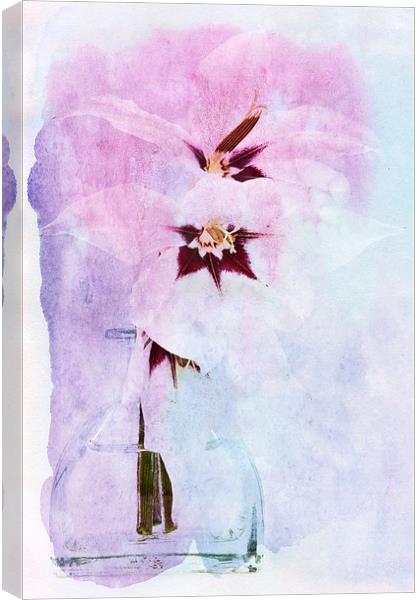 Peacock Orchids Canvas Print by Ann Garrett