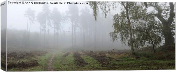 Another Foggy Day On Cannock Chase Canvas Print by Ann Garrett