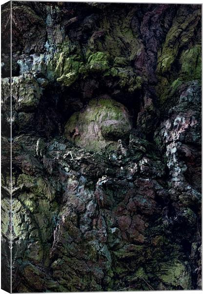 The Green Man Canvas Print by Ann Garrett