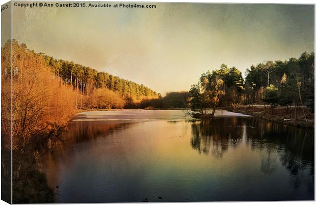 Fishing Pool, Birches Valley, Cannock Chase Canvas Print by Ann Garrett