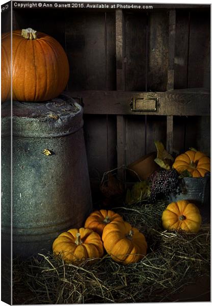 Pumpkins on Straw Canvas Print by Ann Garrett