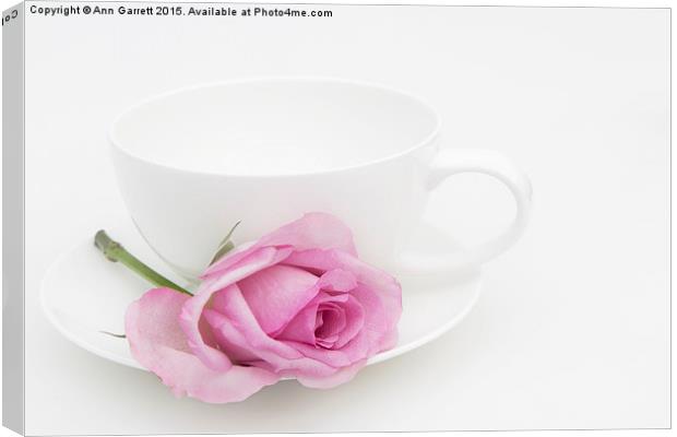 Pink Rose with a White Teacup and Saucer Canvas Print by Ann Garrett