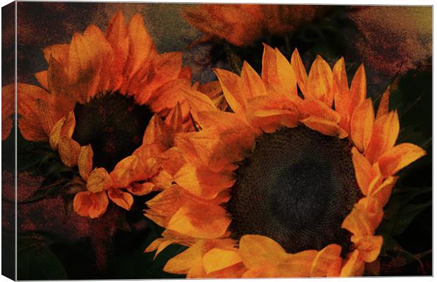 Sunflowers Canvas Print by Ann Garrett