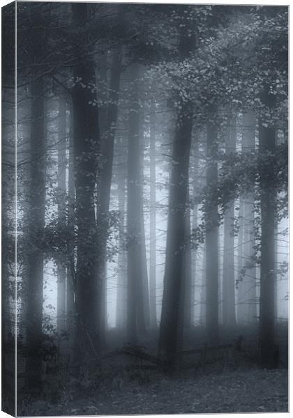 Autumn Mists Canvas Print by Ann Garrett