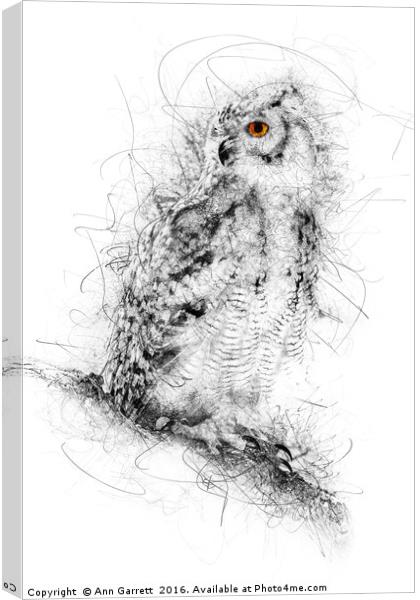 Owl Sketch Canvas Print by Ann Garrett