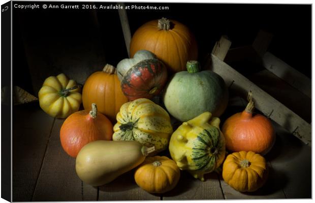 A Crate of Pumpkins Canvas Print by Ann Garrett