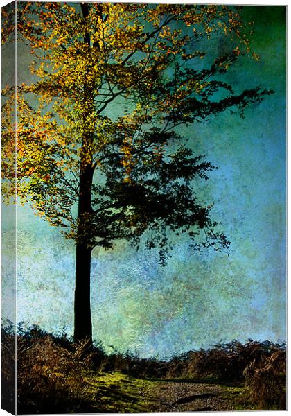 One Tree Canvas Print by Ann Garrett