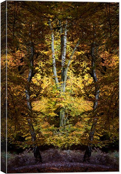 Autumn Jewel Canvas Print by Ann Garrett