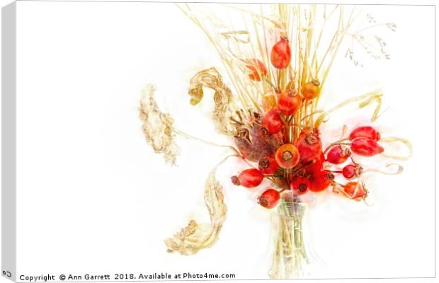 Berries and Grasses Canvas Print by Ann Garrett