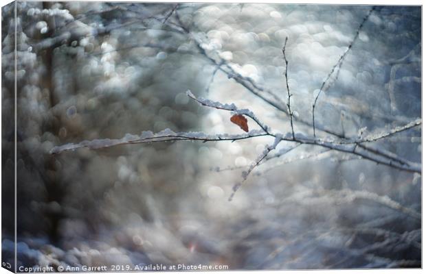 Winter Sparkles Canvas Print by Ann Garrett