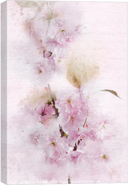 Flowering Cherry Pastels Canvas Print by Ann Garrett