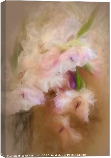 Gladioli in a Vase Canvas Print by Ann Garrett