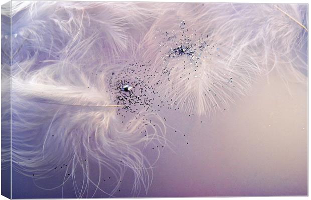 Feathers and Glitter Canvas Print by Ann Garrett