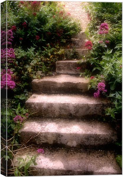 Steps Canvas Print by Ann Garrett