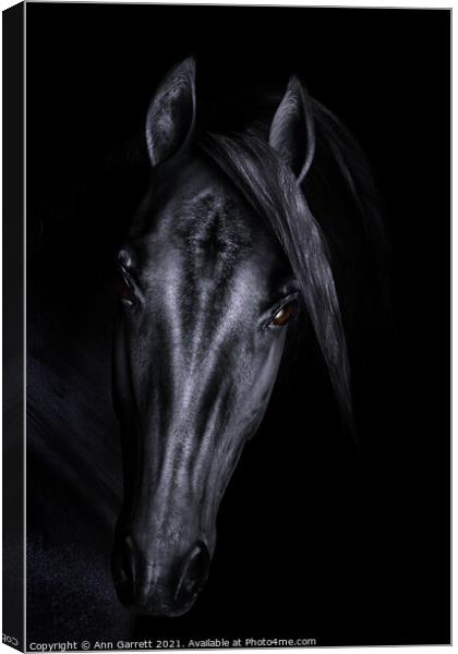 Black Horse 3D Portrait Canvas Print by Ann Garrett
