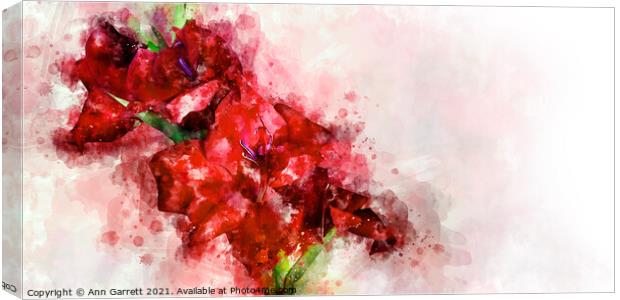 A Mess of Red Gladioli Canvas Print by Ann Garrett