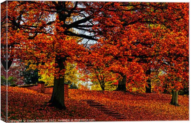 Step into Autumn  Canvas Print by David Atkinson