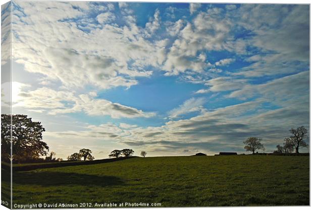 A SUMMER EVENING Canvas Print by David Atkinson