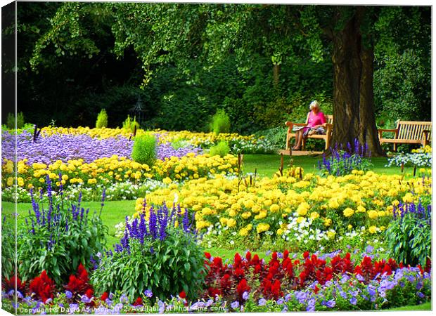 FLOWERS IN THE PARK Canvas Print by David Atkinson