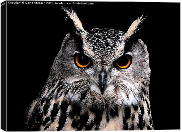 EAGLE OWL Canvas Print by David Atkinson