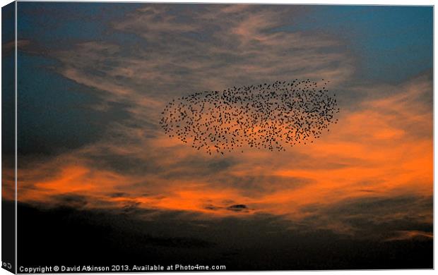 FLOCK INTO THE SUNSET Canvas Print by David Atkinson